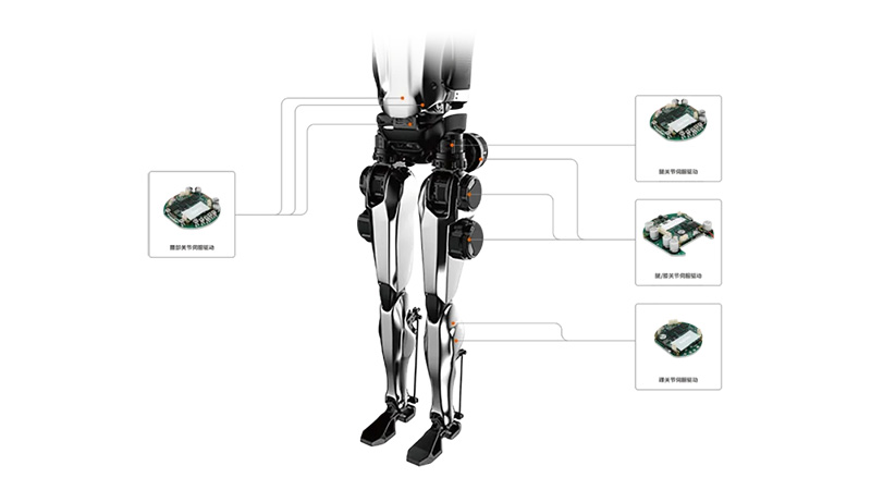 人形機器人腿部