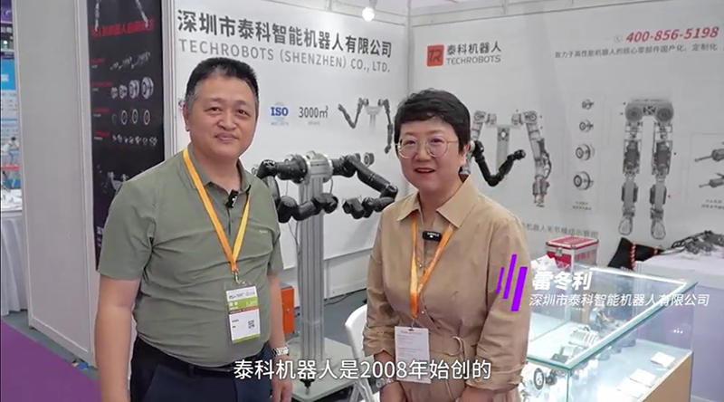 人形機(jī)器人公司