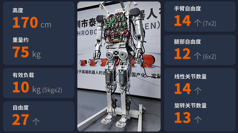 人形機(jī)器人本體