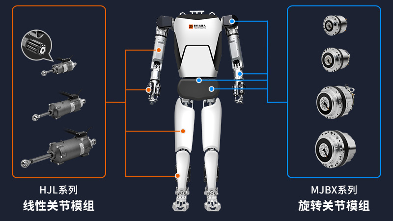 人形機(jī)器人