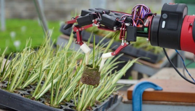 Five special applications of co-robots